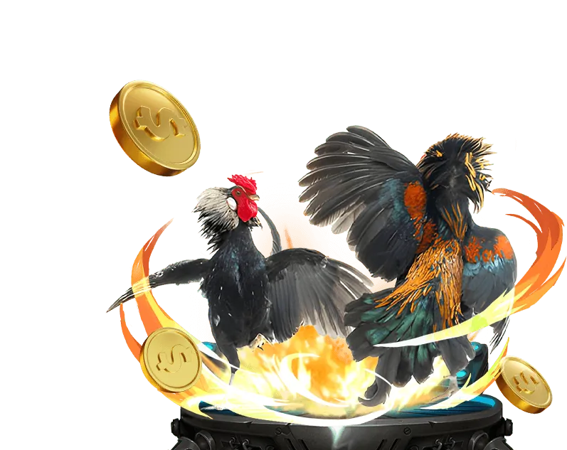 Cá cược thể thao số số 66